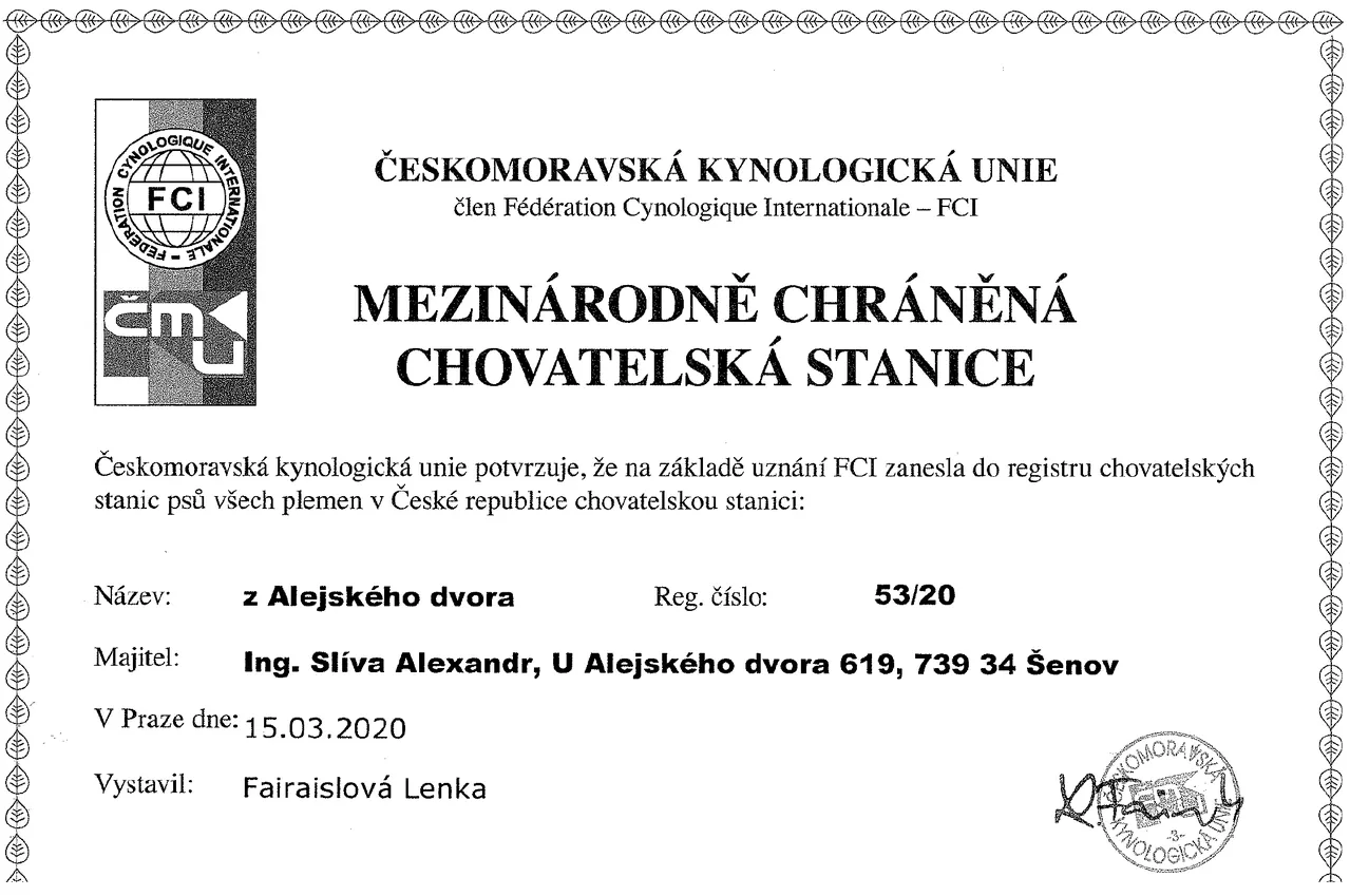 Certifikát